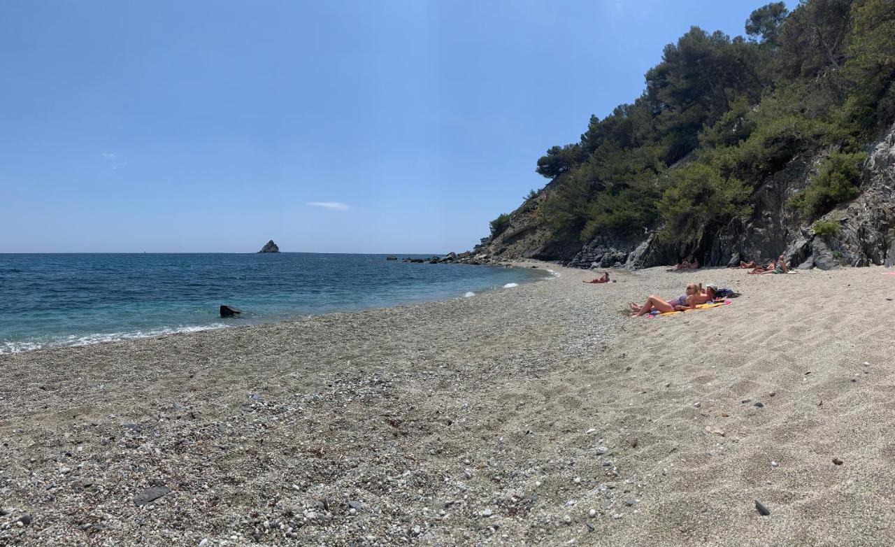 Villa Jacqueline La Seyne-sur-Mer Dış mekan fotoğraf